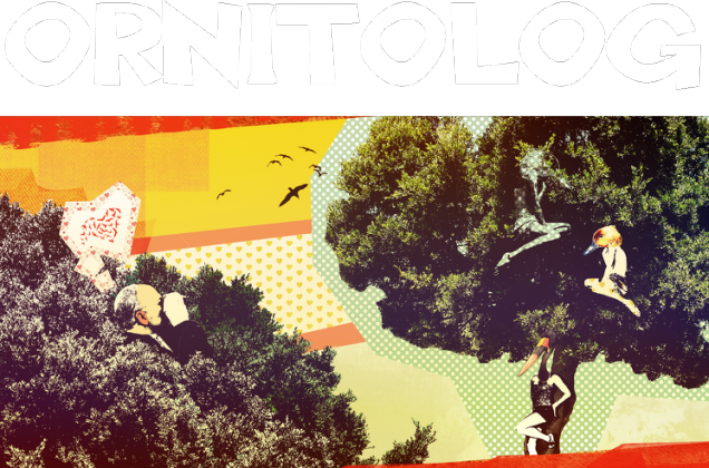 Ornitolog