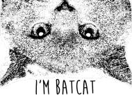 I'm BatCat