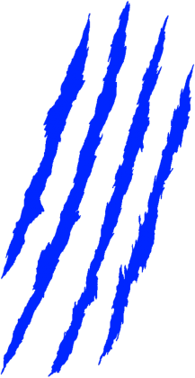 claw marks bluza