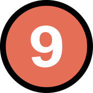 Koszulka Haxball. Number Nine