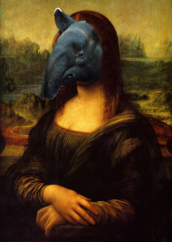 TAPIR - Mona Lisa