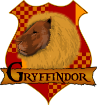 Koszulka Damska Harry Potter Gryffindor