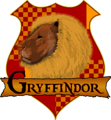 Bluza Harry Potter Gryffindor college