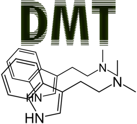 Dimetylotryptamine KOBIETA