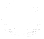 Koszulka męska - I ♥ 46