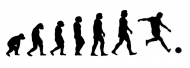 Evolution K