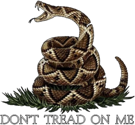 Don't Tread On Me - czarna koszulka