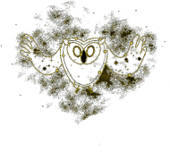 Cosmic owl