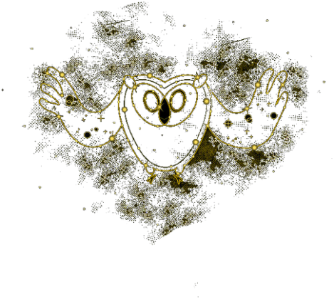 Cosmic owl