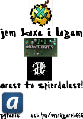 -_-Koszuleczka Zajebistosci-_-