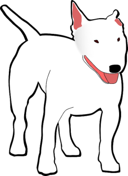 Animal