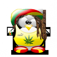 Pingwin Rasta