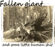 koszulka męska - upadły gigant (fallen giant)