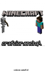 Koszulka z IP serwera