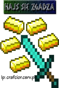 Koszulka z IP oraz z napisem