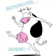 Cycki