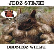 WIEWIÓRKA PAKER