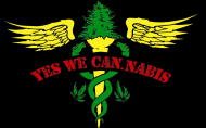 Yes we can.nabis Damska