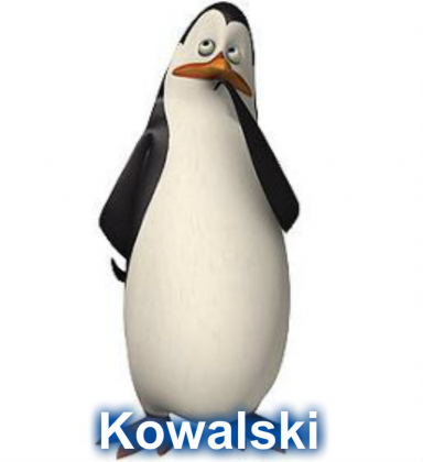 Kowalski w zamyśleniu