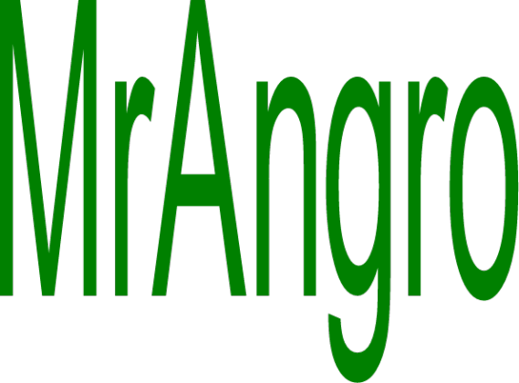 koszulka youtubera MrAngro