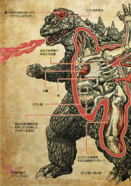 Godzilla's Anatomy