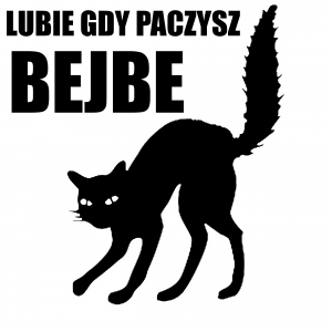 Koszulki z nadrukiem, kubki, bluzy, polo, poduszki, misie czarna bluza minecraft frugo