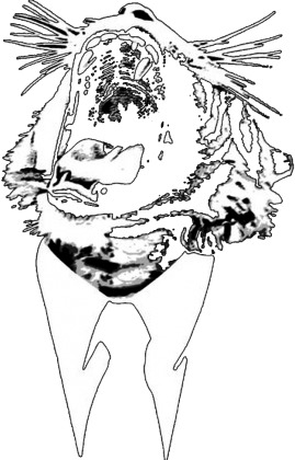 D3 Tiga