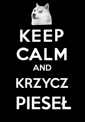 Keep calm! - koszulka męska