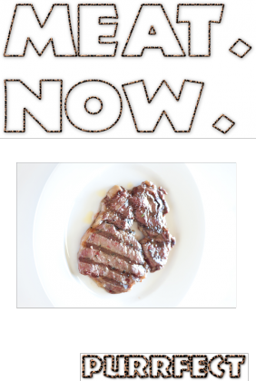 Mięso. Teraz. - męska koszulka