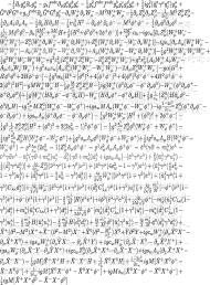 Standard Model Lagrangian Black
