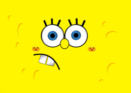 Sponge bob