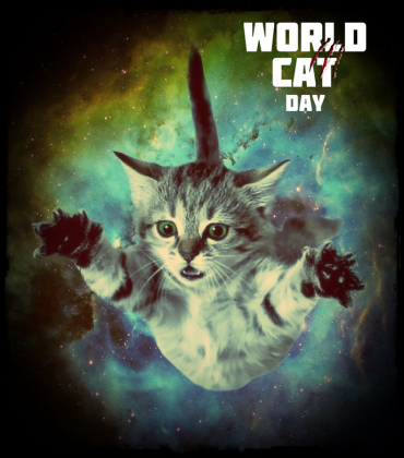 World Cat Day Normal Bluza