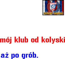Bluza