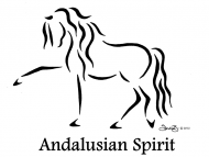 Andalusian Biała Damska Koszulka
