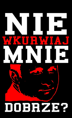 Koszulki z nadrukiem, kubki, bluzy, polo, poduszki, misie czarna bluza minecraft frugo