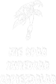 nie spac, zwiedzac, zapierdalac