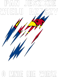 Pan jeszcze wielu rzeczy o mnie nie wiesz - Superman
