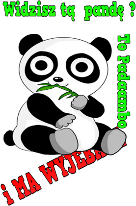 Bluza Widzisz tą pandę
