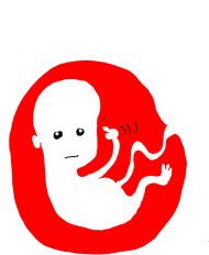 Sam się usuń | koszulka ciemna damska