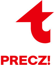 DT | koszulka męska