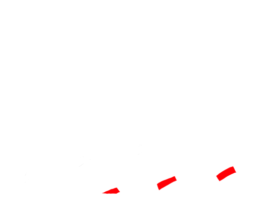 Żołnierze Wyklęci | koszulka czarna męska