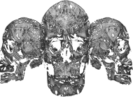 Distorted Skulls Męska