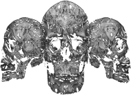 Distorted Skulls Damska