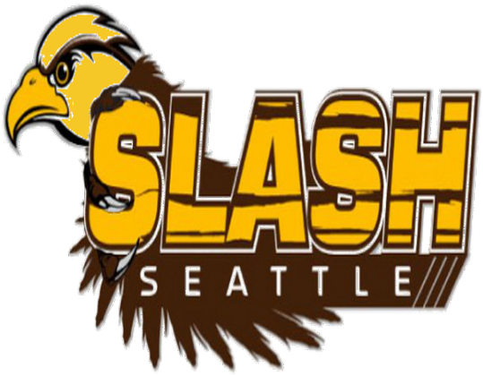 ''Slash Seattle'' Bluzka męska, wszystkie kolory
