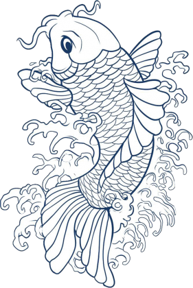 KOi