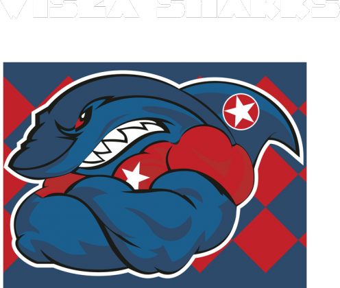 Wisła Sharks