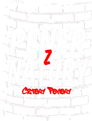 Bluza Pener Z Natury black