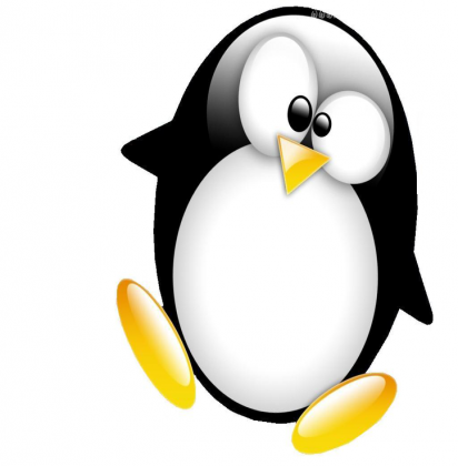 koszulka żeńska - pingwin