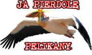 Koszulka Ja Pierdolę Pelikany