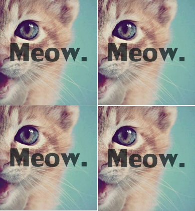 Torba "Meow"